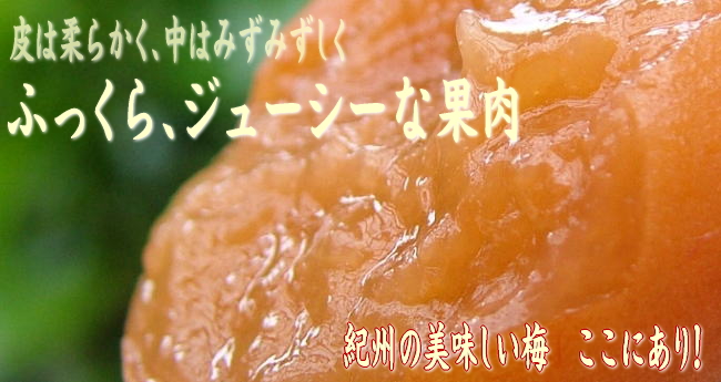 はちみつ梅
