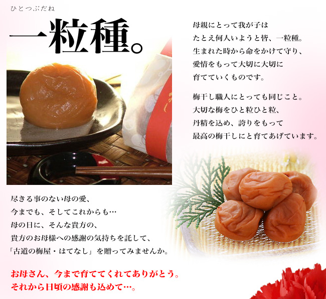 一粒種。