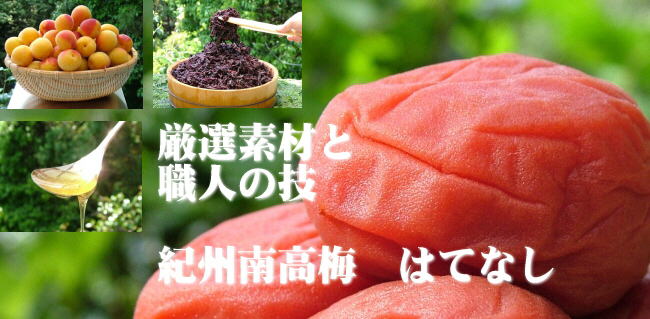 梅干 紀州南高梅